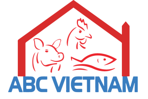 Tổng Giám đốc Công ty Cổ phần ABC Việt Nam